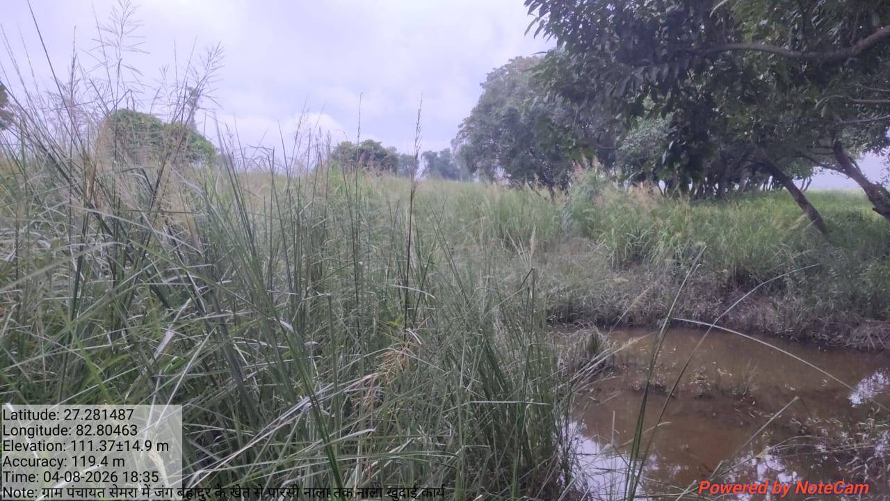 Sona Masoori विक्रीसाठी, सिद्धार्थनगर, उत्तर प्रदेश
