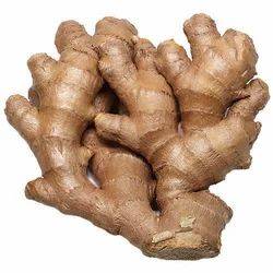 Ginger Ginger1