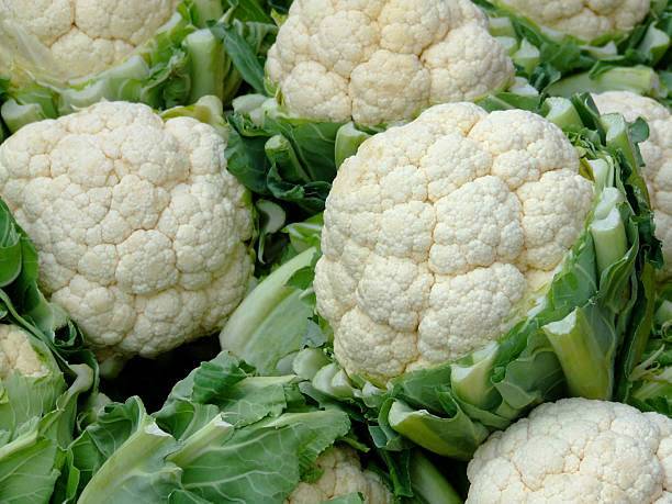 Snowball Cauliflower for sale in Ratlam, Madhya Pradesh
