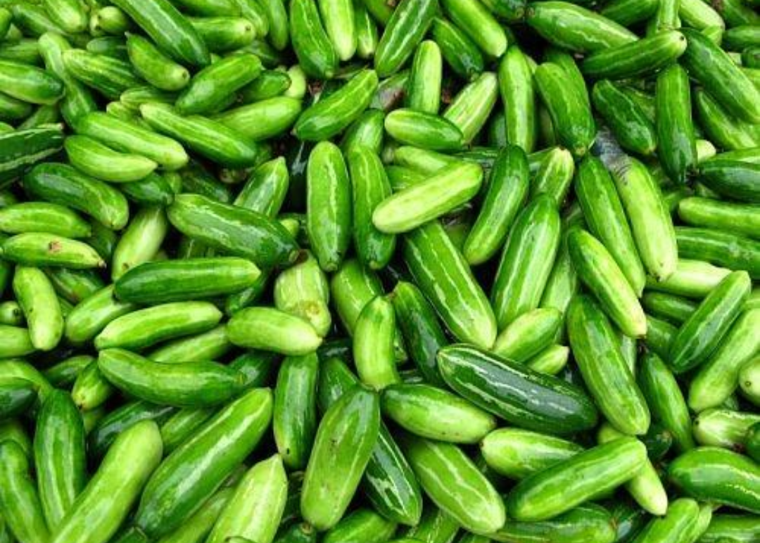 ढेमसे Pointed Gourd