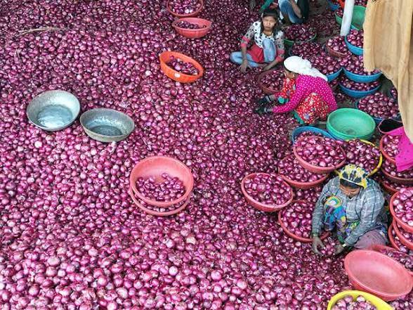 कांदा Pearl Onion