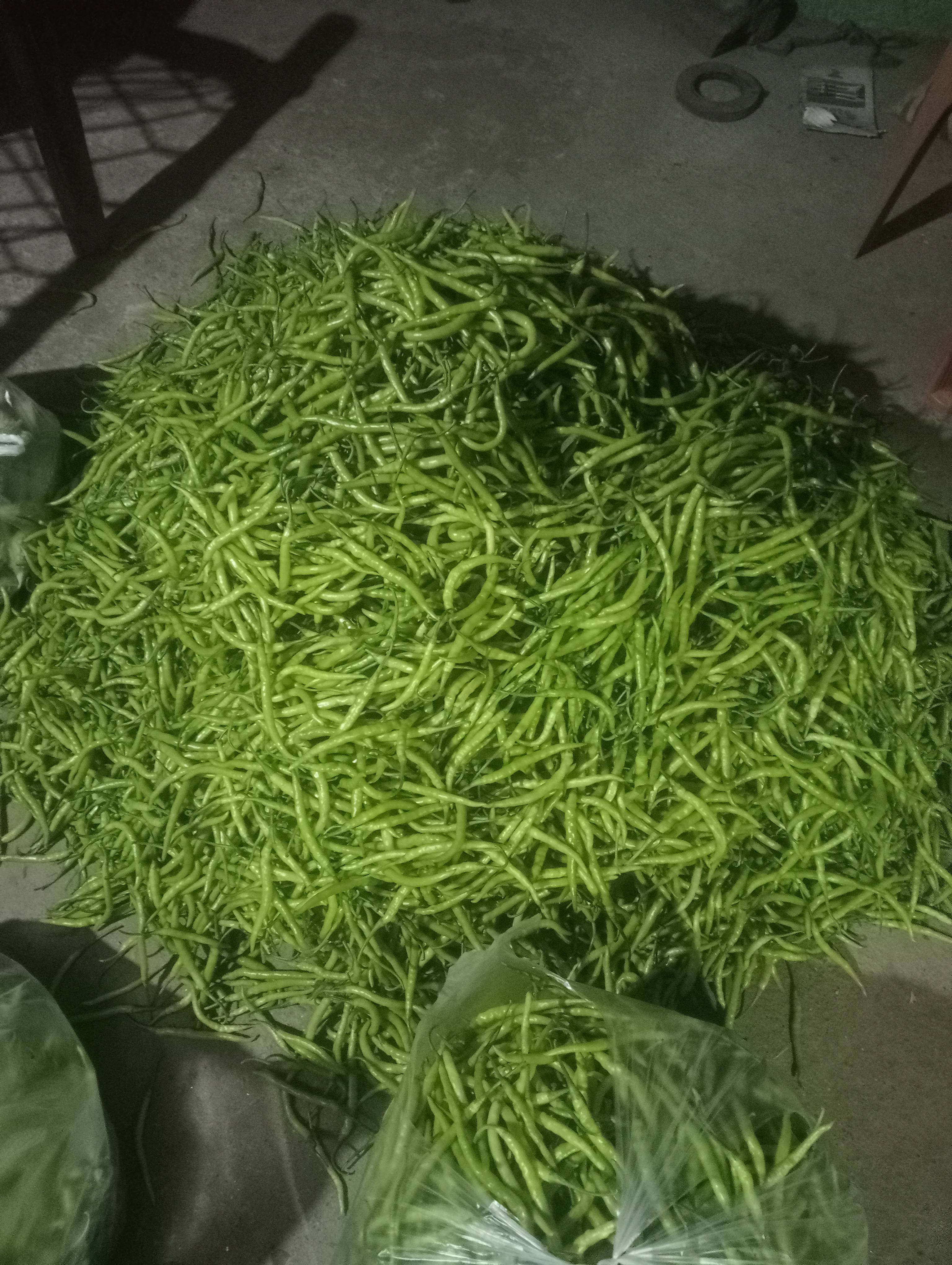 Green Chilli विक्रीसाठी, यवतमाळ, महाराष्ट्र