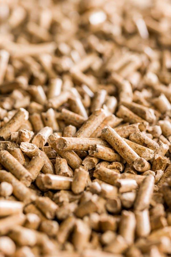 Buffalo Feed Lactating Buffalo Feed