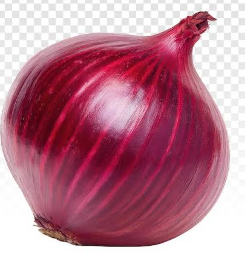 Red Onion बिक्री के लिए, राजकोट, गुजरात
