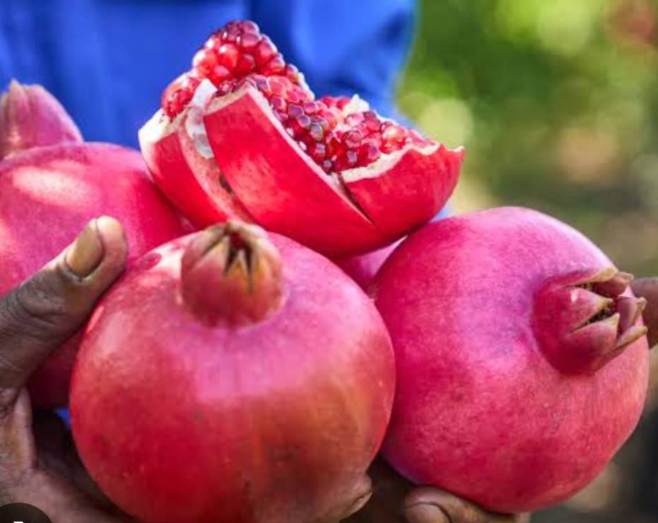 Pomegranate Bhagwa