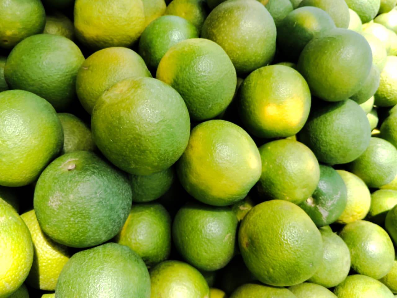 Golden Mousambi for sale in Pune, Maharashtra
