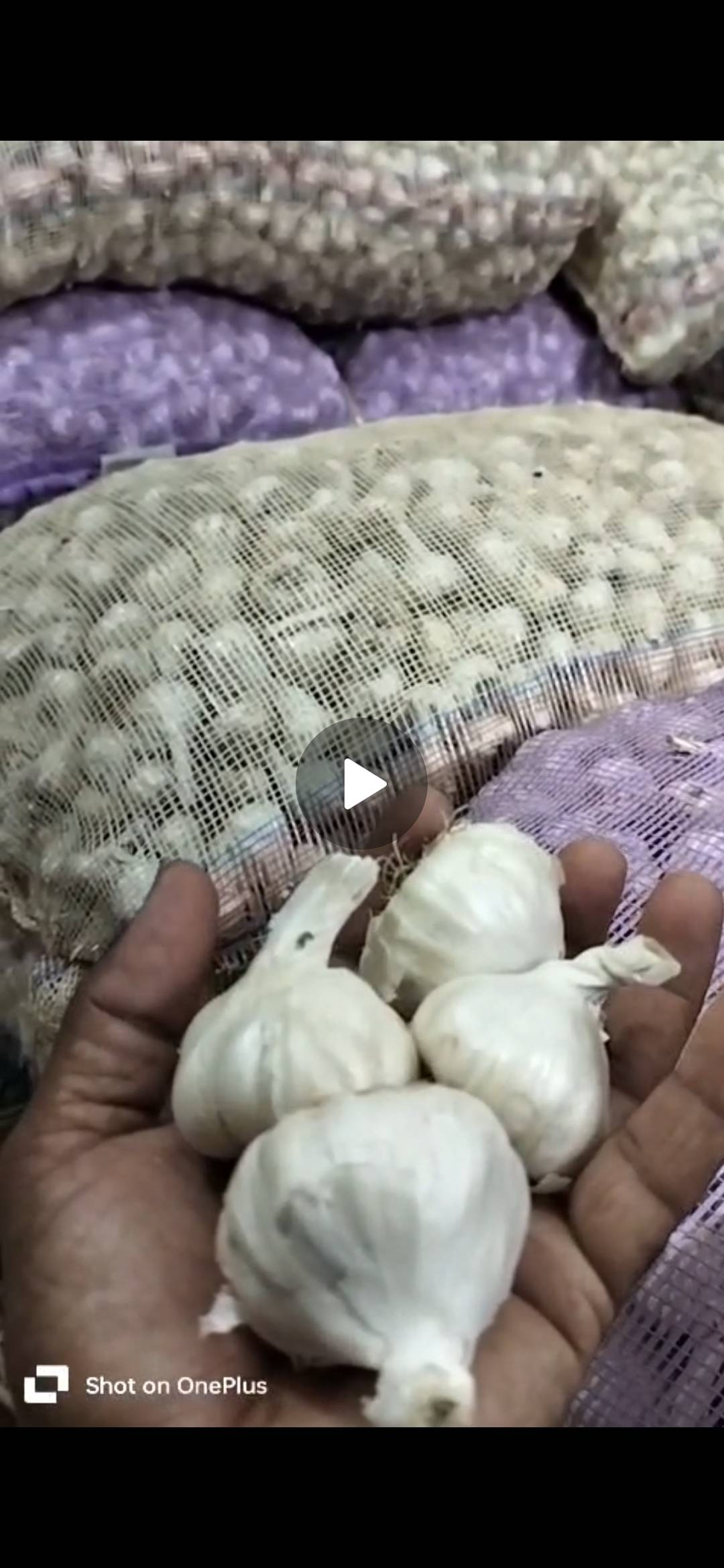 लसूण White Garlic