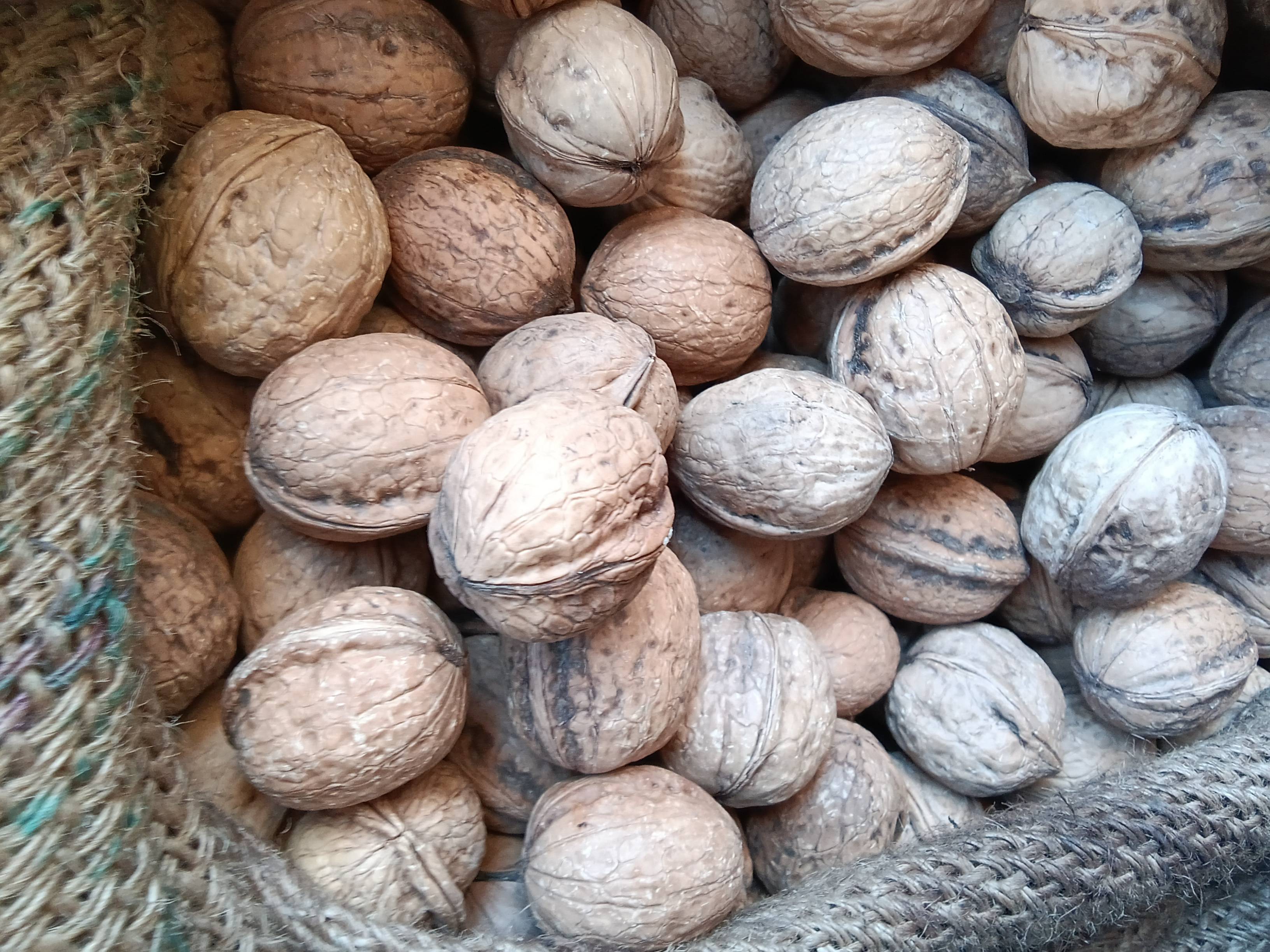 Walnut A Grade Walnut
