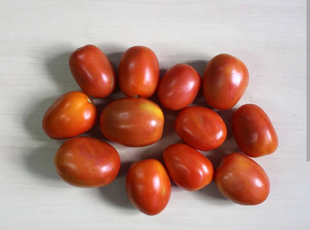 टोमॅटो Cherry Tomato