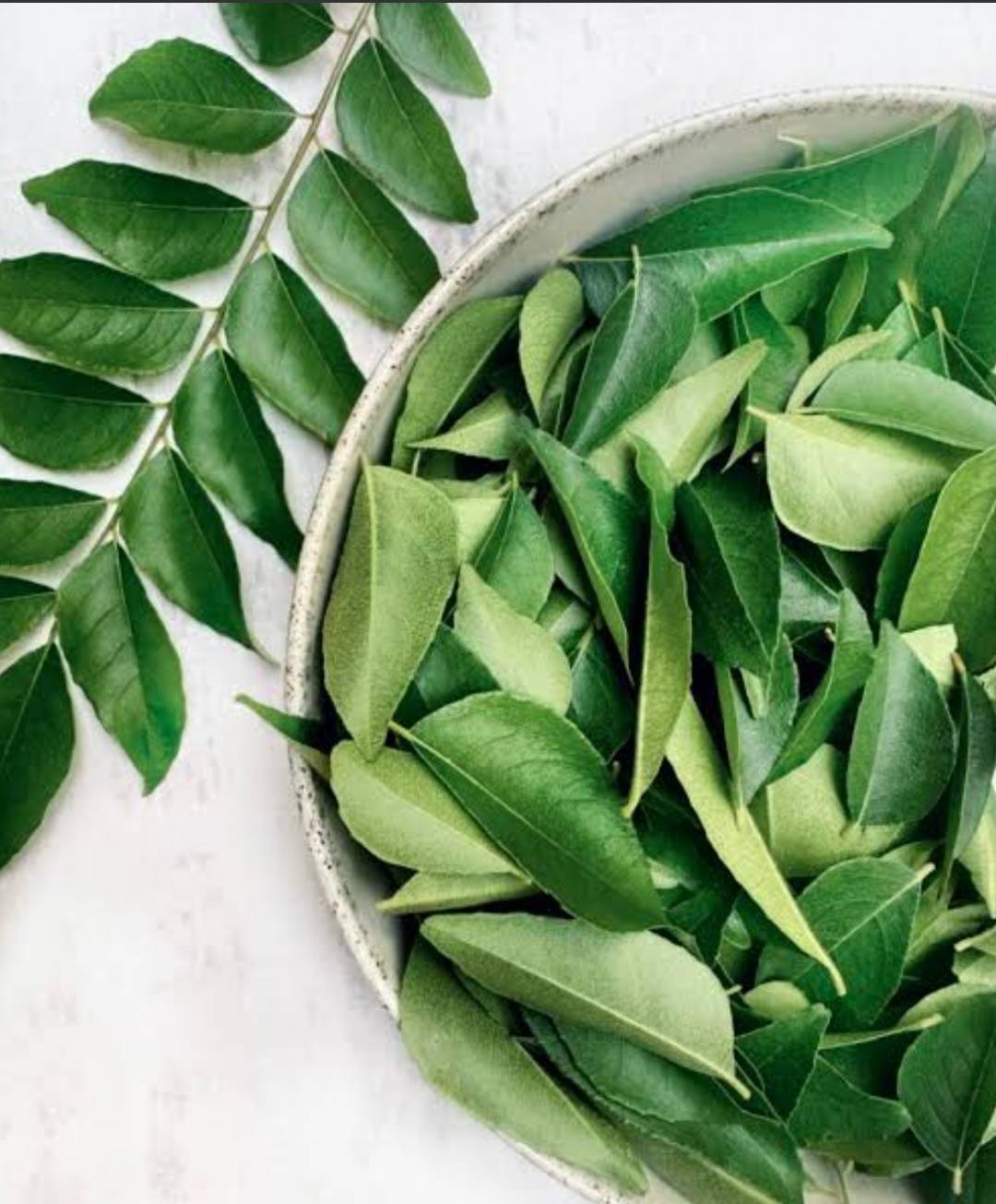 कढीपत्ता Curry Leaf