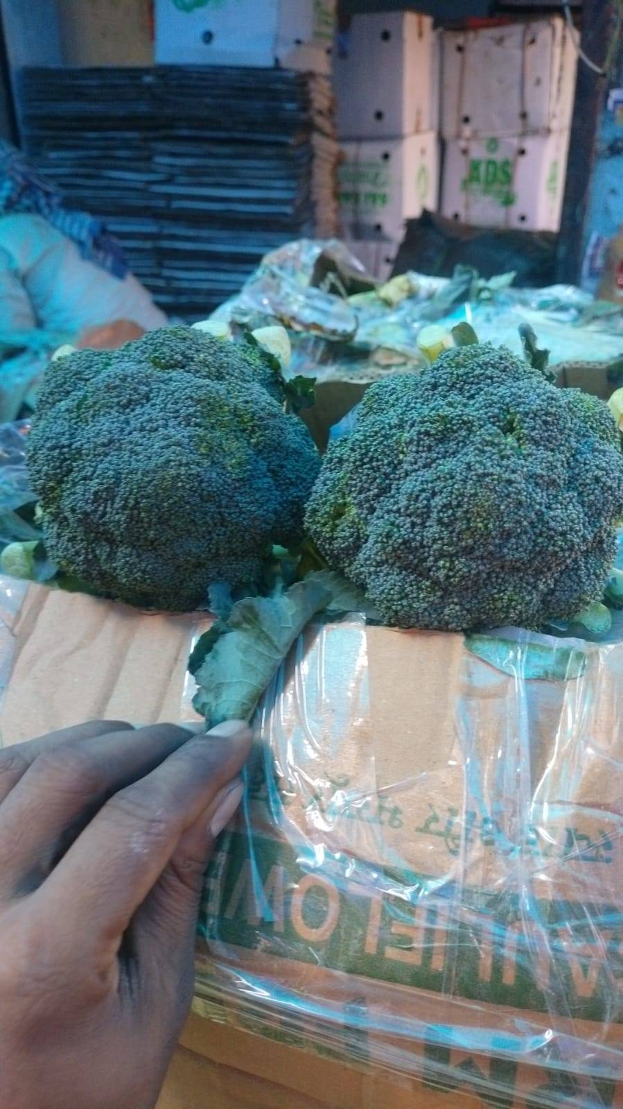 Green Broccoli बिक्री के लिए, उत्तर पश्चिमी दिल्ली, दिल्ली