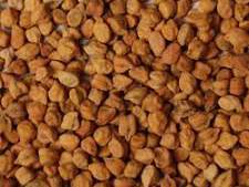Desi Chickpeas विक्रीसाठी, रतलाम, मध्य प्रदेश