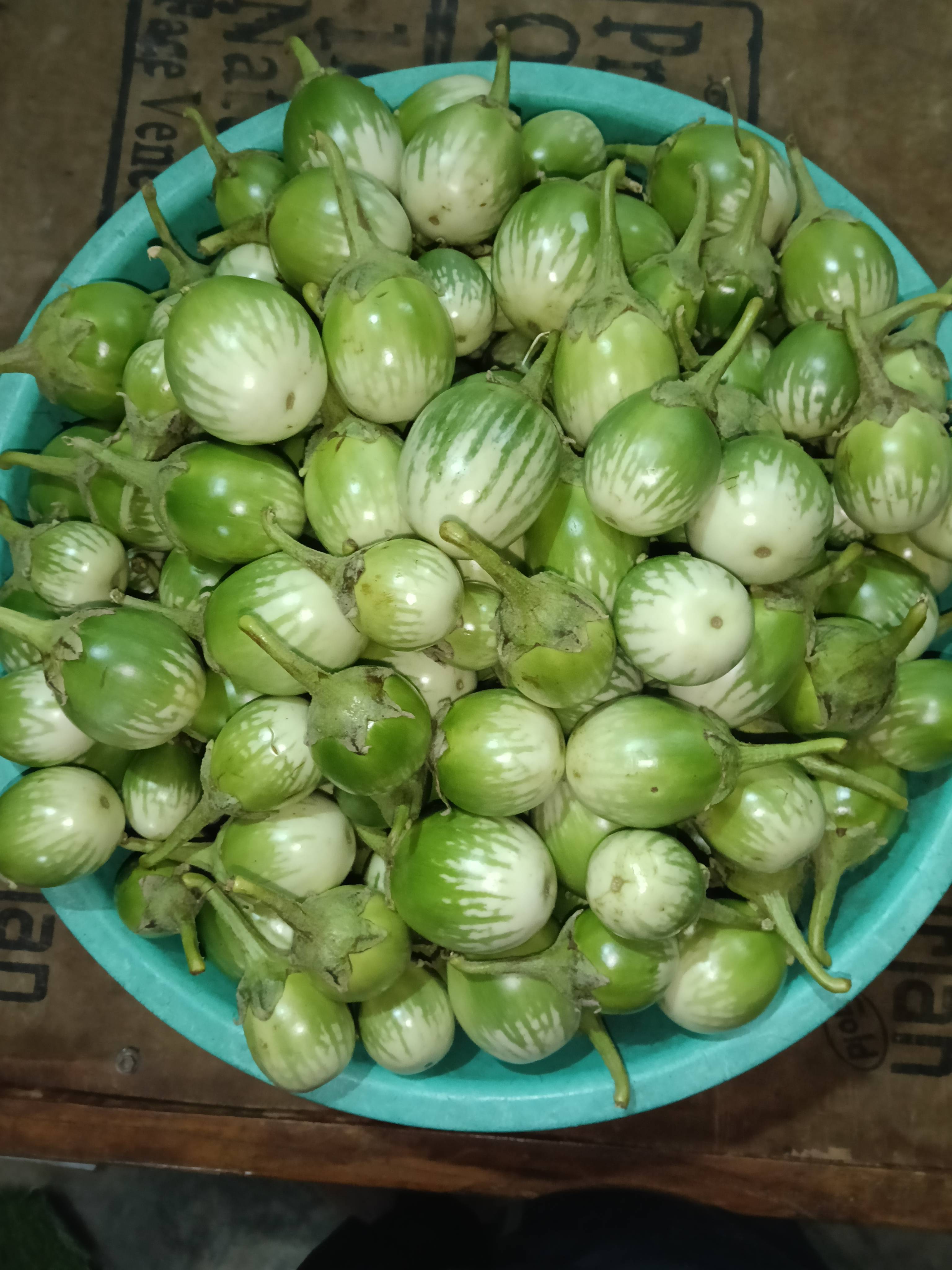 Round Brinjal for sale in Chhindwara, Madhya Pradesh