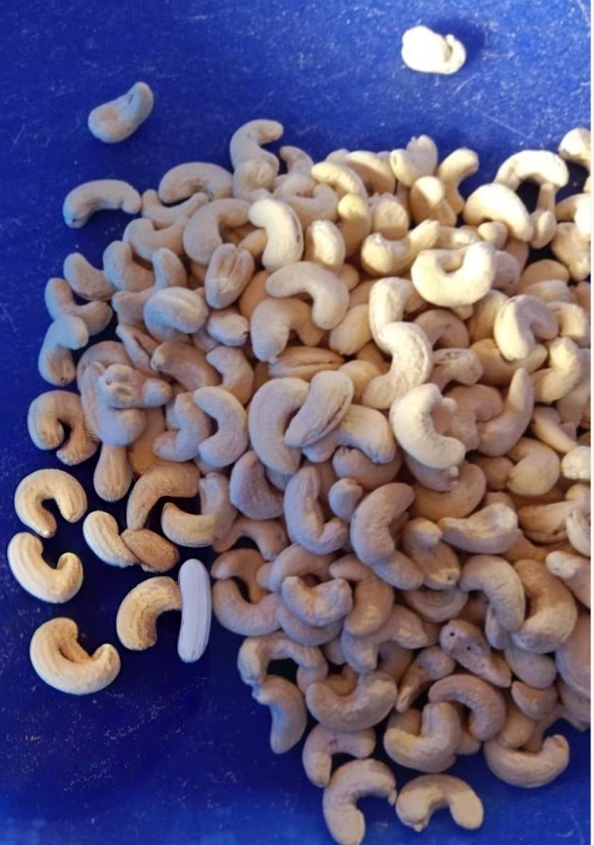 Cashew Splits for sale in Nashik, Maharashtra