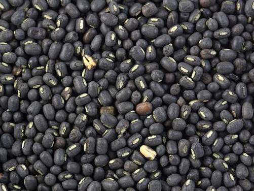 T-9 for sale in Ratlam, Madhya Pradesh
