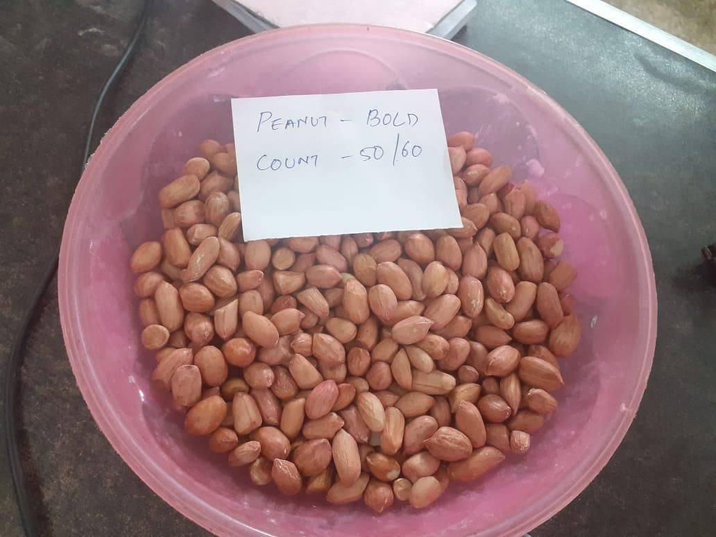 Groundnut (Peanut) Runner