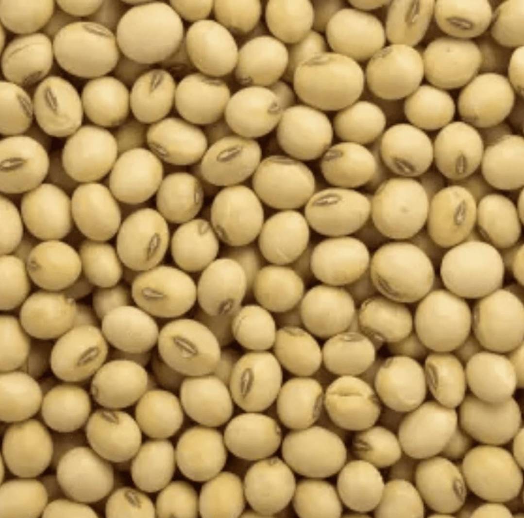 Soyabean Yellow Soybean