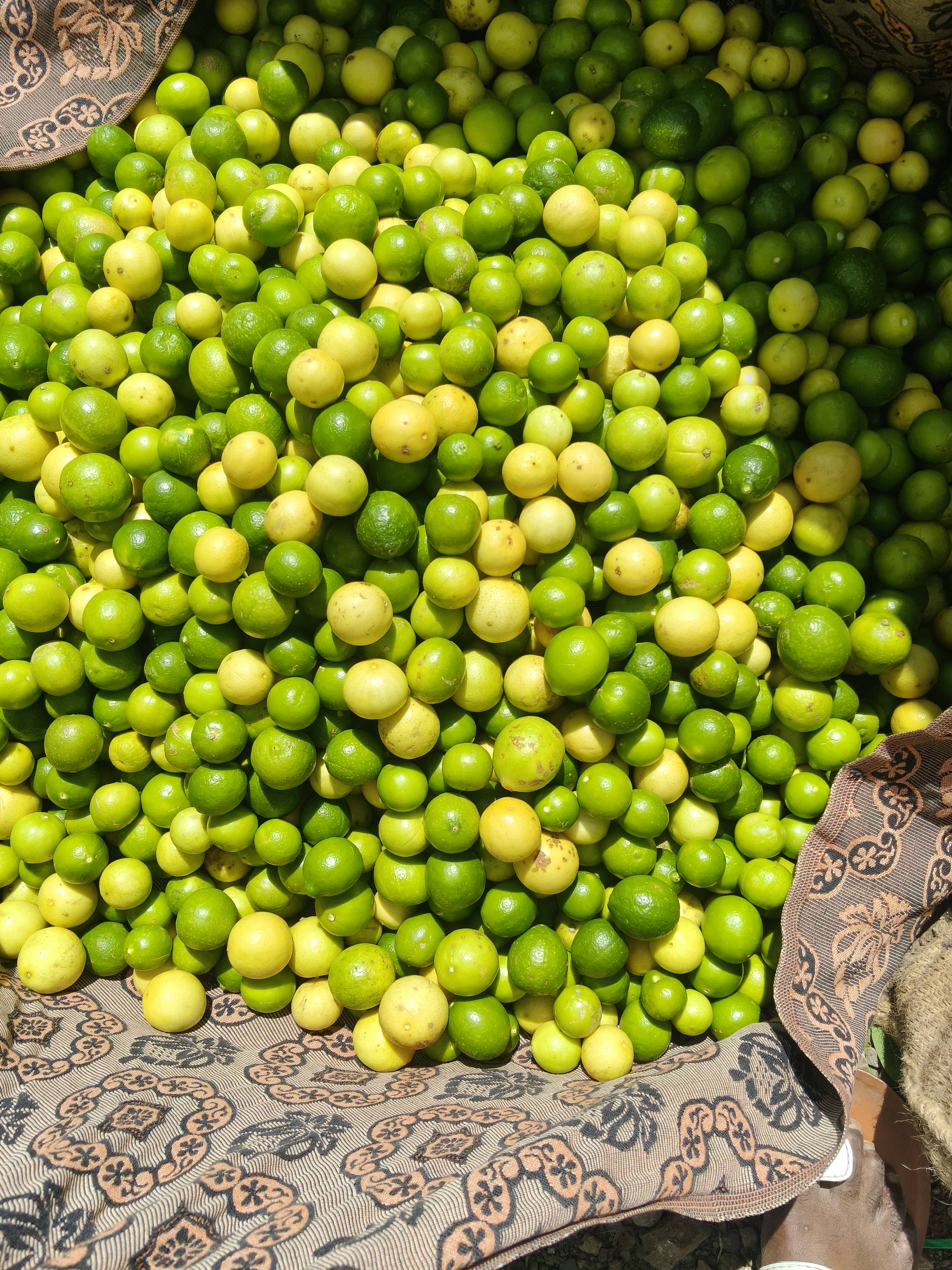 Kagzi Lime विक्रीसाठी, बीजापूर, कर्नाटक