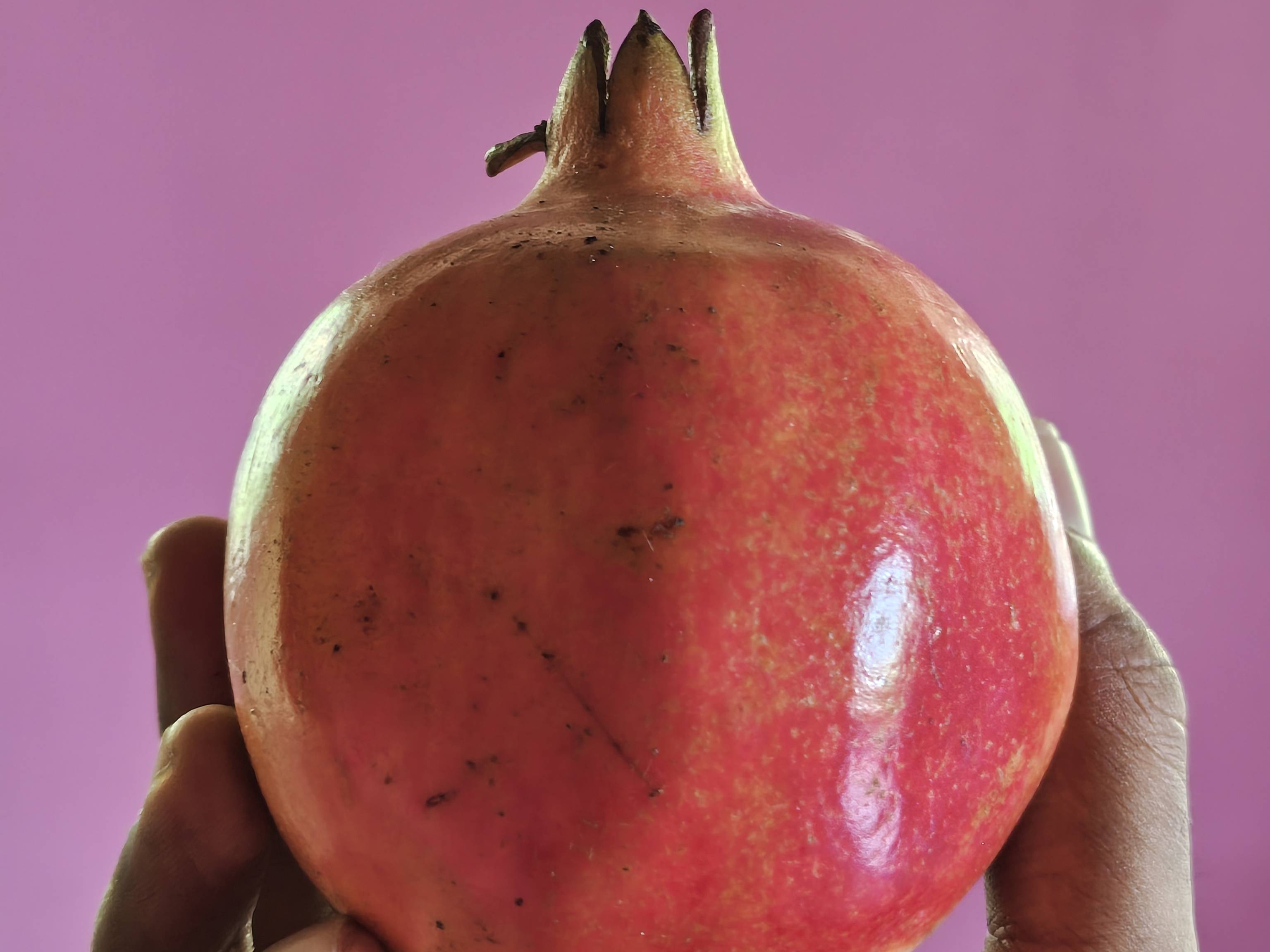 Bhagwa for sale in Akola, Maharashtra