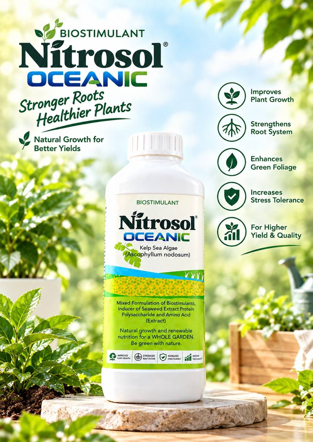 Seaweed fertilize Seaweed extract fertilizer