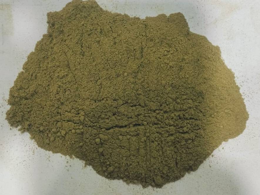 Dehydrated Vegetables Moringa  Powder