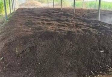 Compost Vermicompost