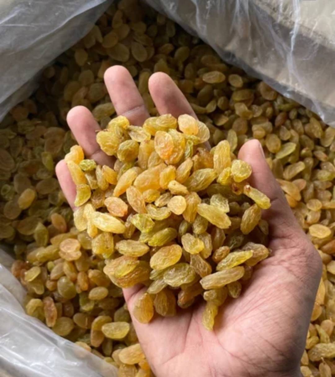 Dry Grapes (Raisins) Golden Raisins