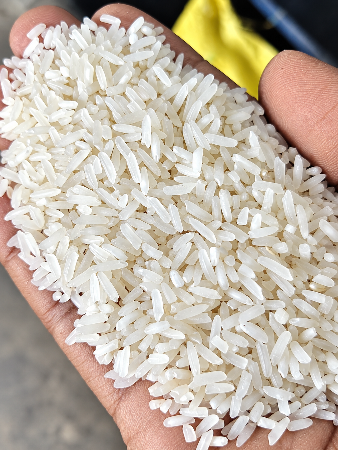 Rice Indrayani Rice