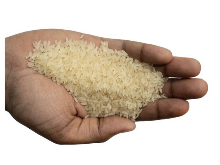 Padmavati Rice बिक्री के लिए, बेंगलुरु, कर्नाटक