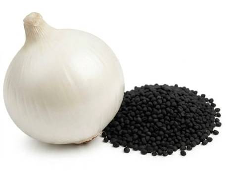 White Onion Seeds बिक्री के लिए, अमरेली, गुजरात