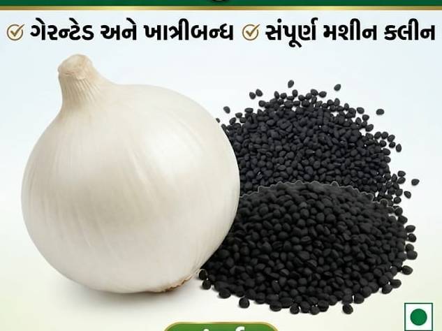 Onion Seeds White Onion Seeds