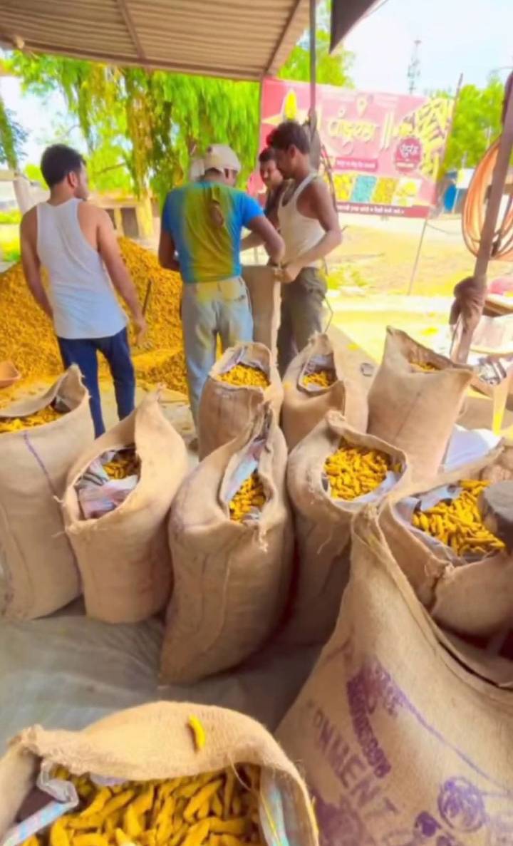 Turmeric Alleppey Finger
