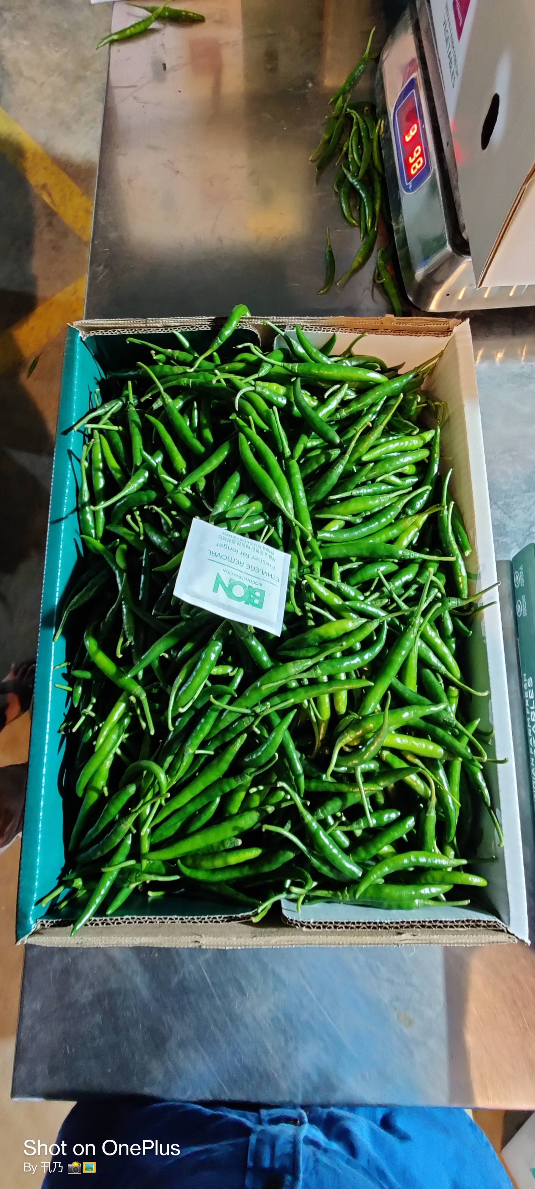 G4 Chilli विक्रीसाठी, नाशिक, महाराष्ट्र