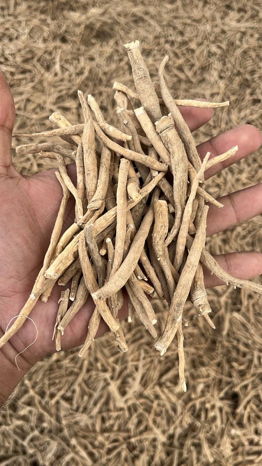 Dehydrated Herbal (Medicinal) Products Ashwagandha Roots