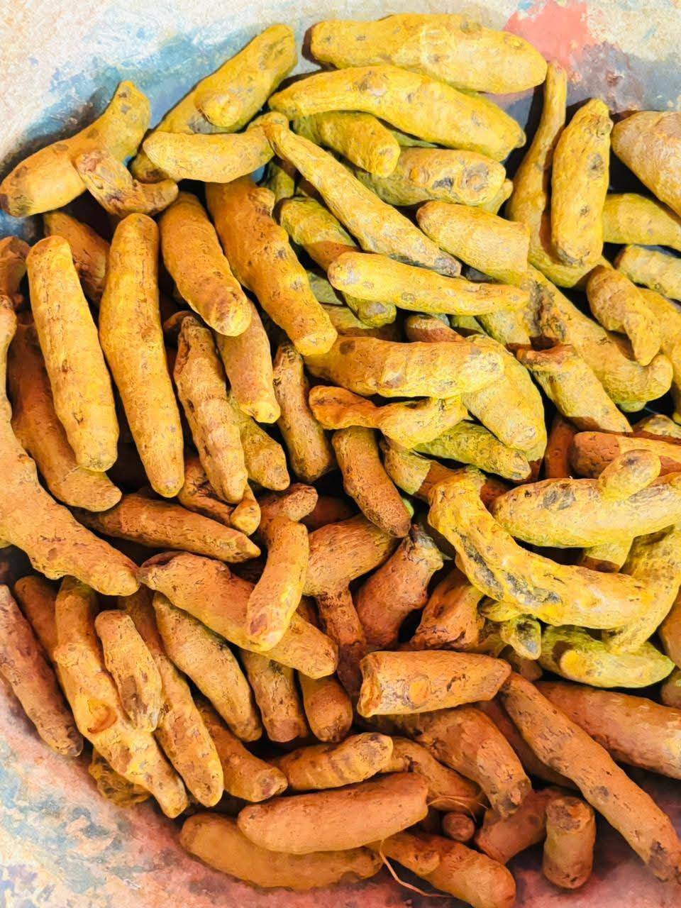 Turmeric Hingoli