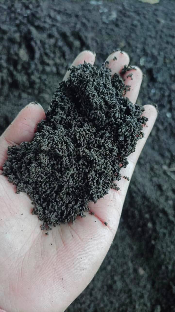 Compost Vermicompost