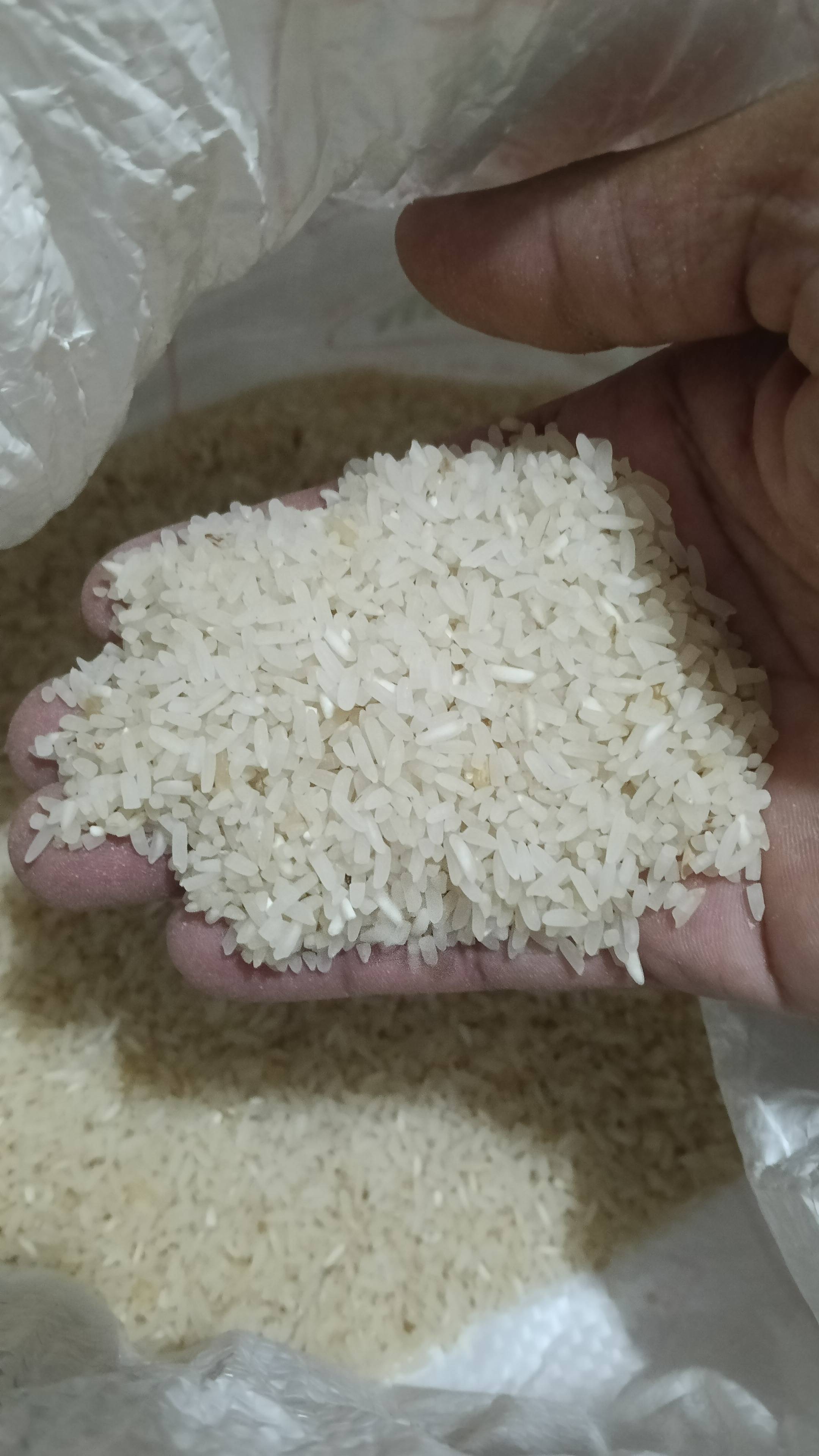 Rice Indrayani Rice