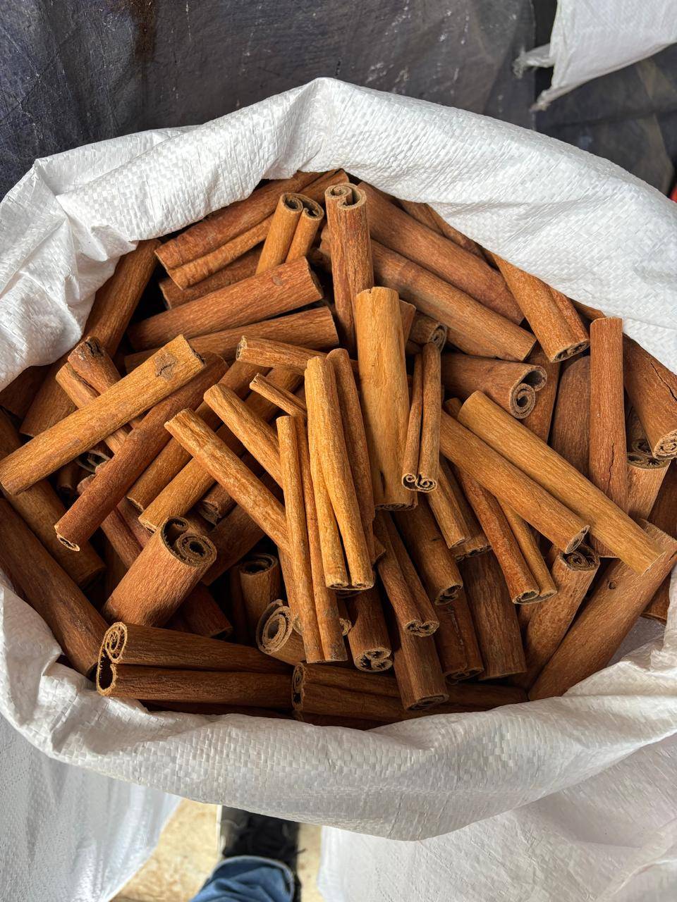 Cinnamon required in Lucknow, Uttar Pradesh
