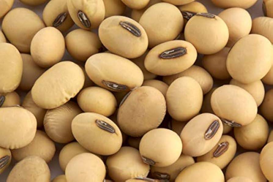 Soyabean Yellow Soybean