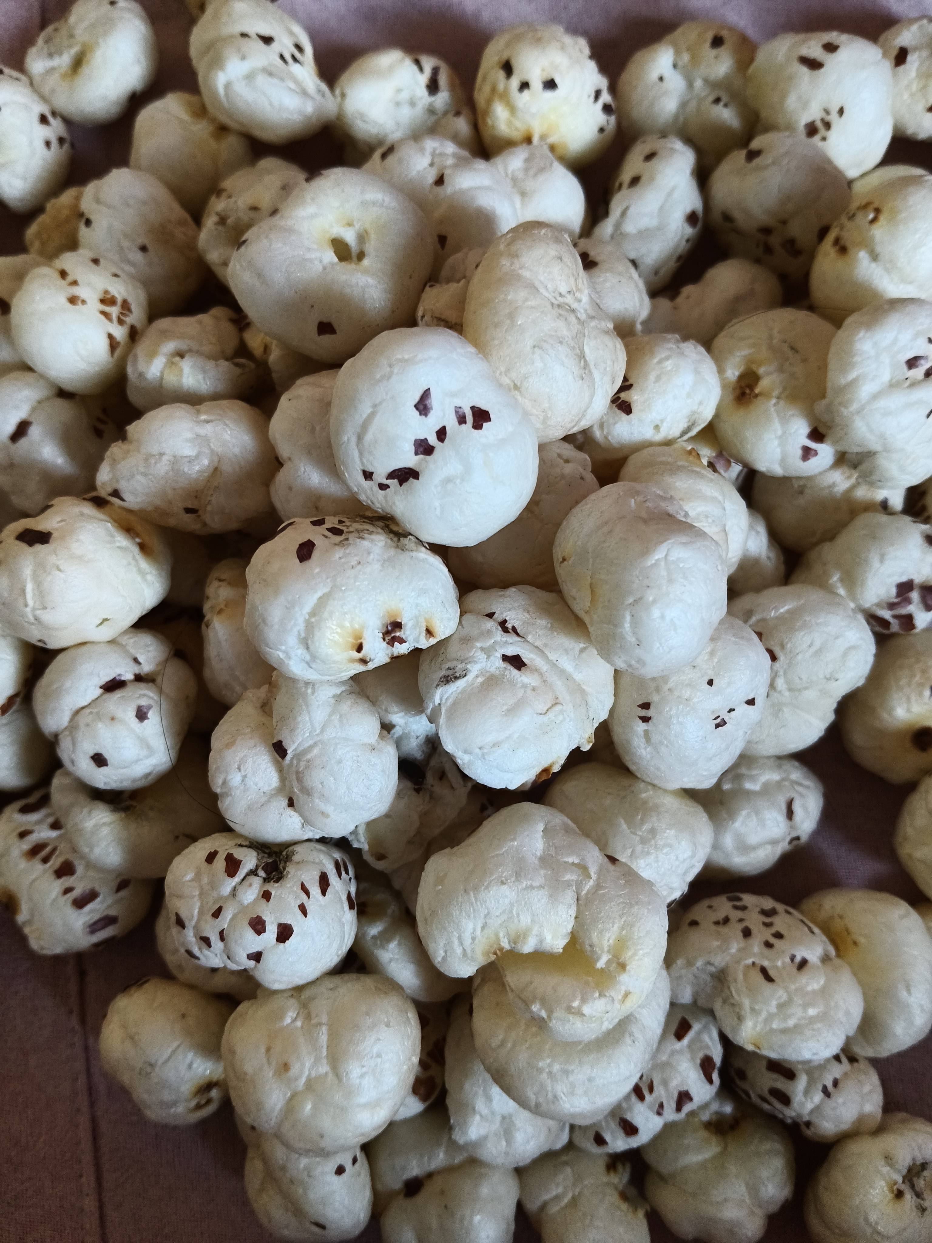 मखाना Lava (Large) Makhana