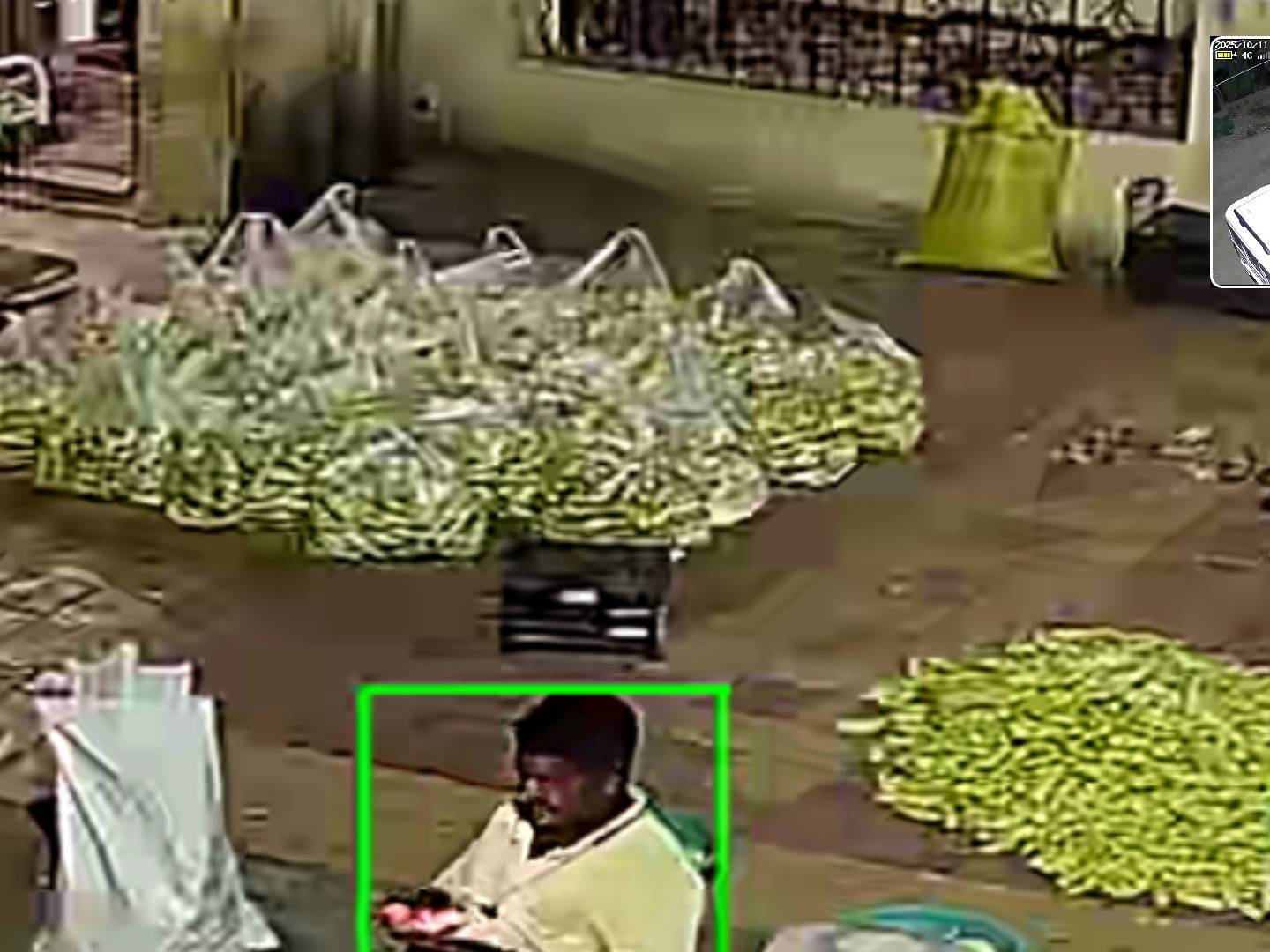 काकडी English Cucumber