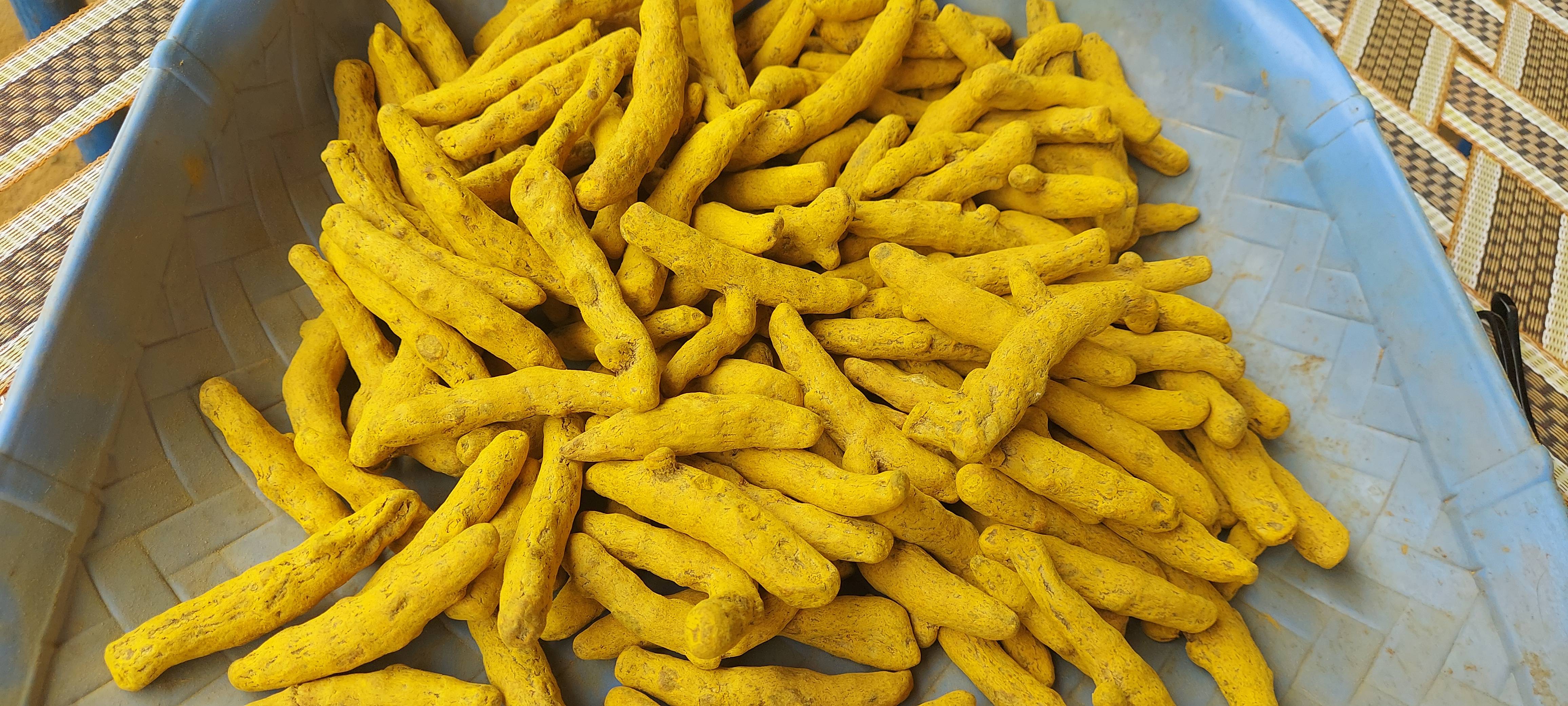Rajapuri for sale in Sangli, Maharashtra