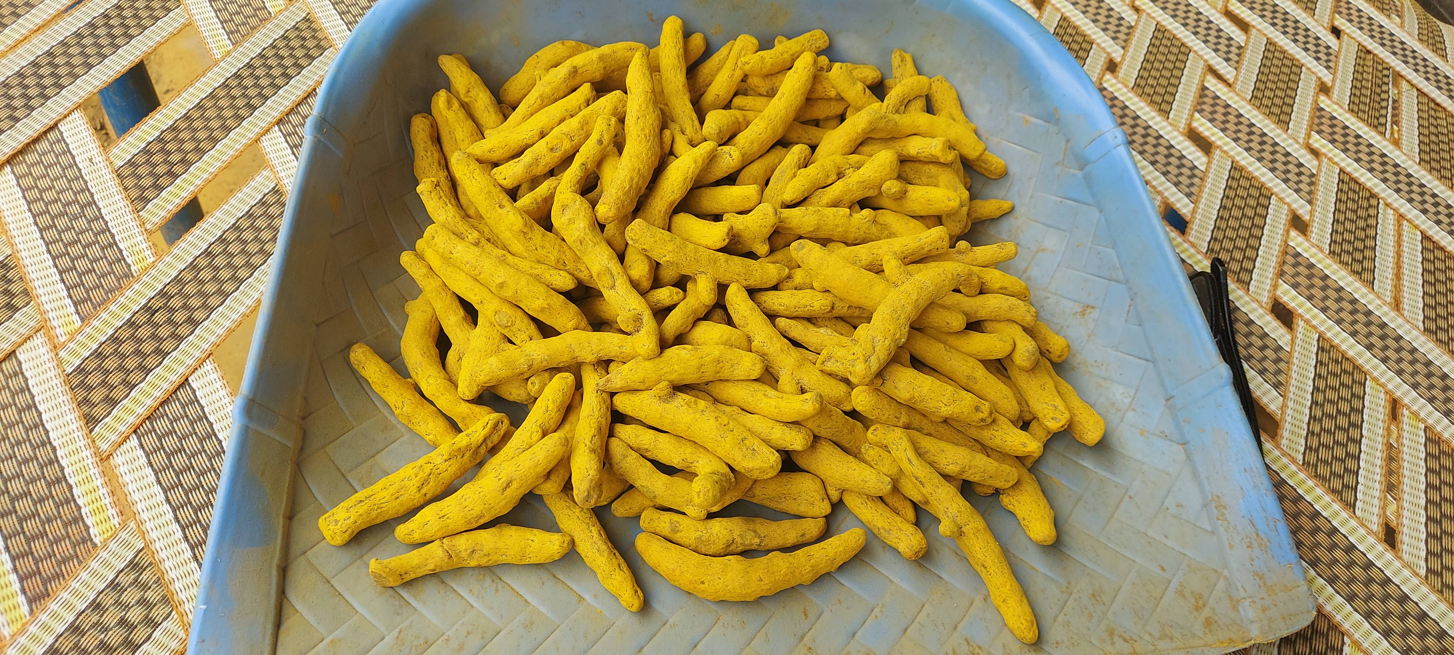 Rajapuri for sale in Sangli, Maharashtra