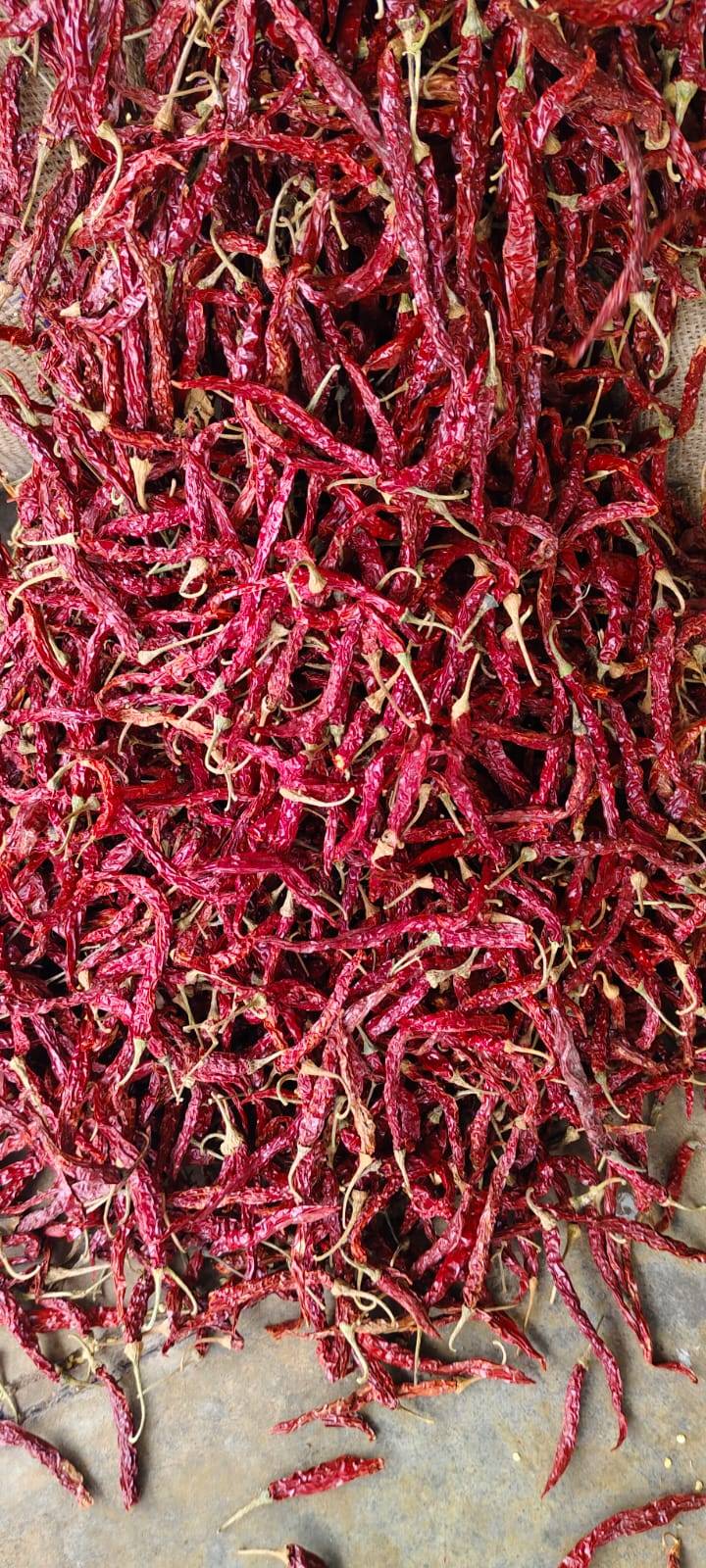Turmeric Rajapuri