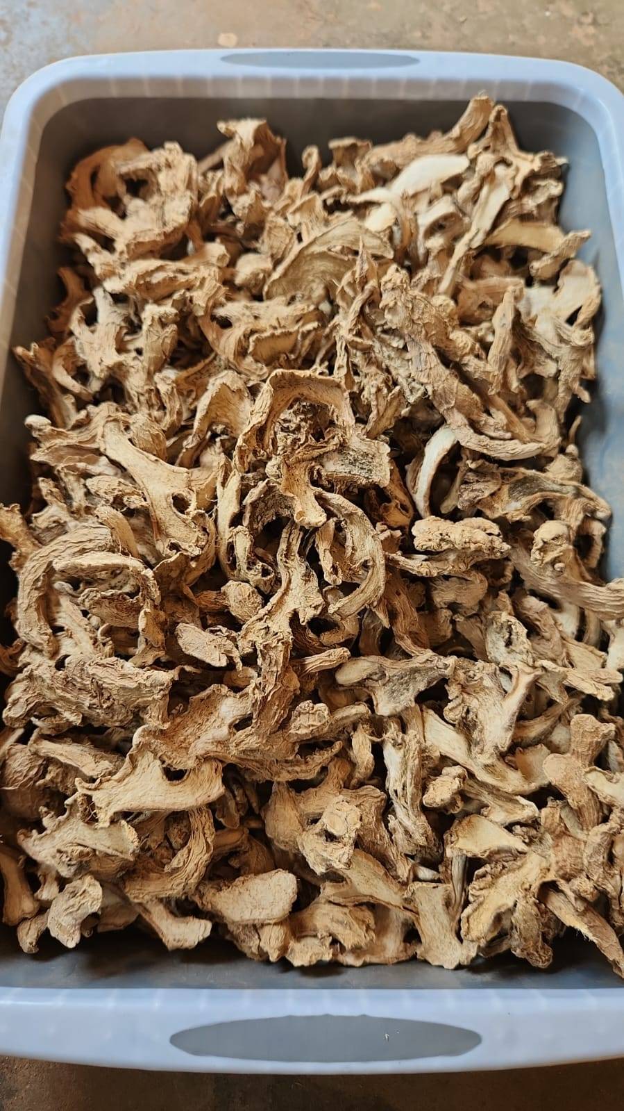 Dry Ginger Cochin Ginger
