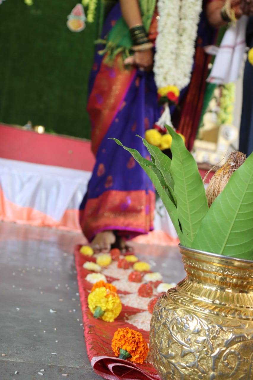 Cochin Ginger विक्रीसाठी, मिरज, महाराष्ट्र