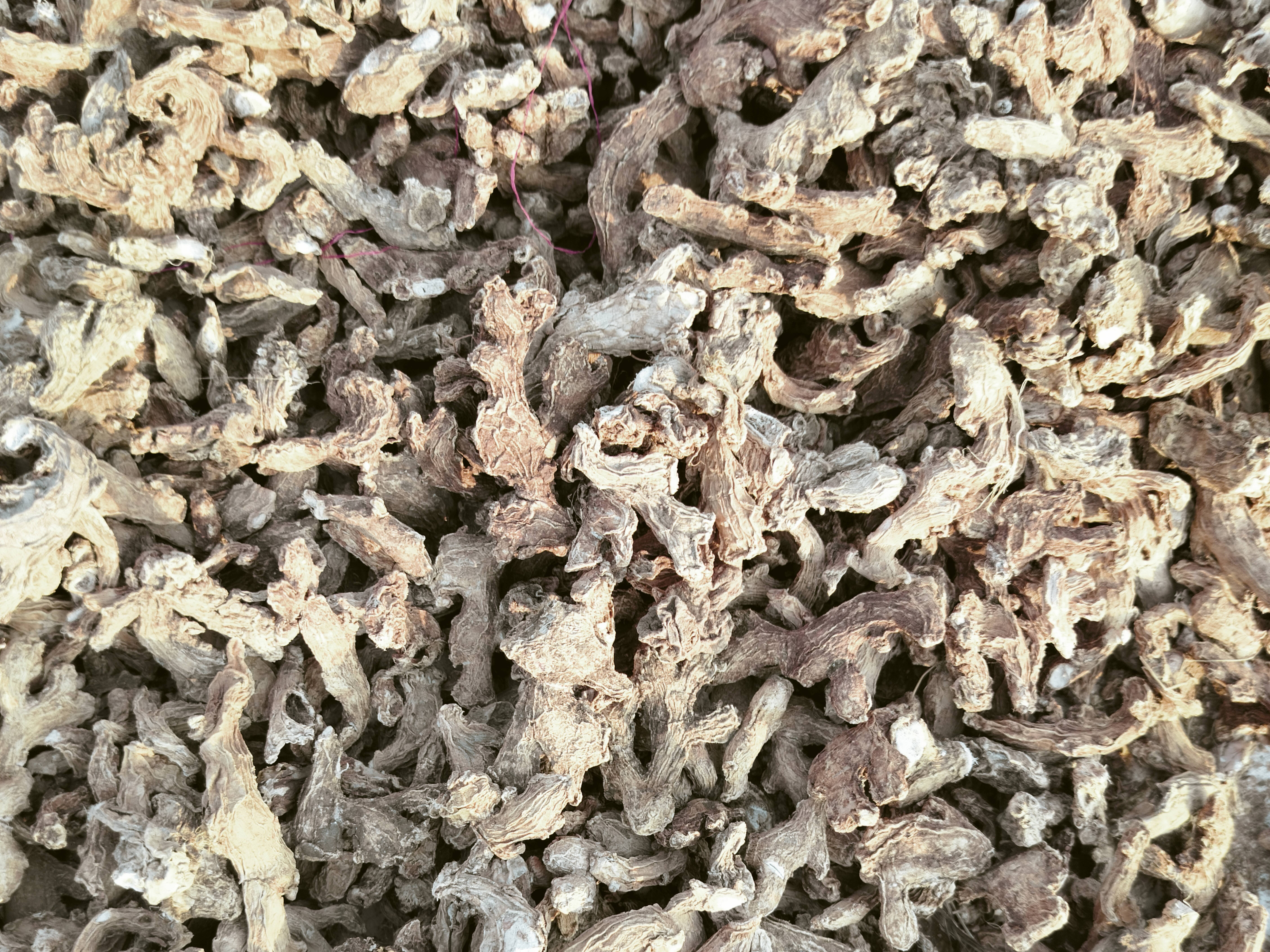 Dry Ginger Cochin Ginger