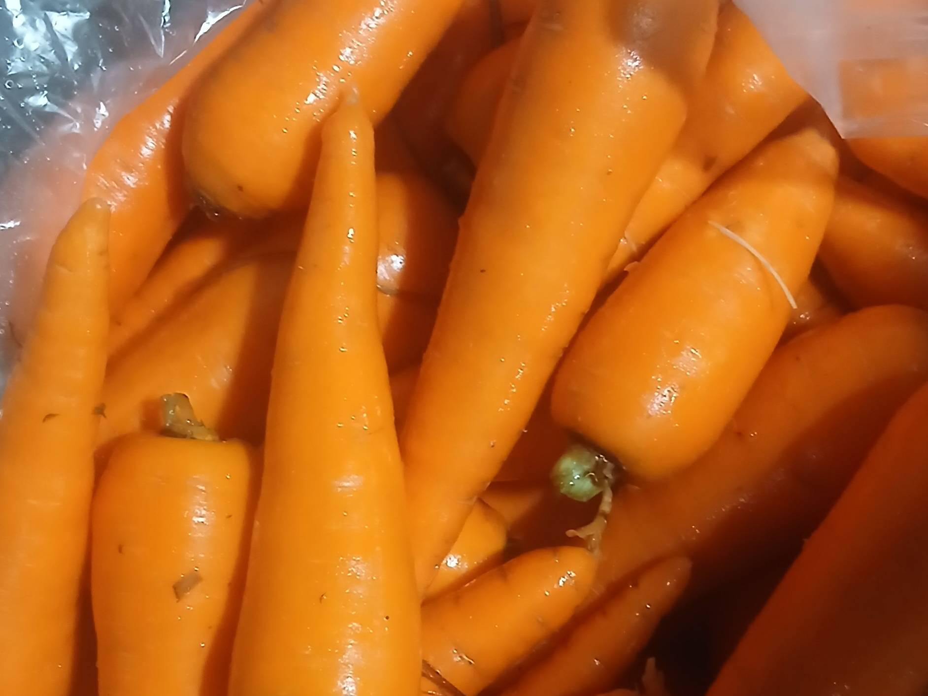 Pusa Kesar for sale in Nashik, Maharashtra