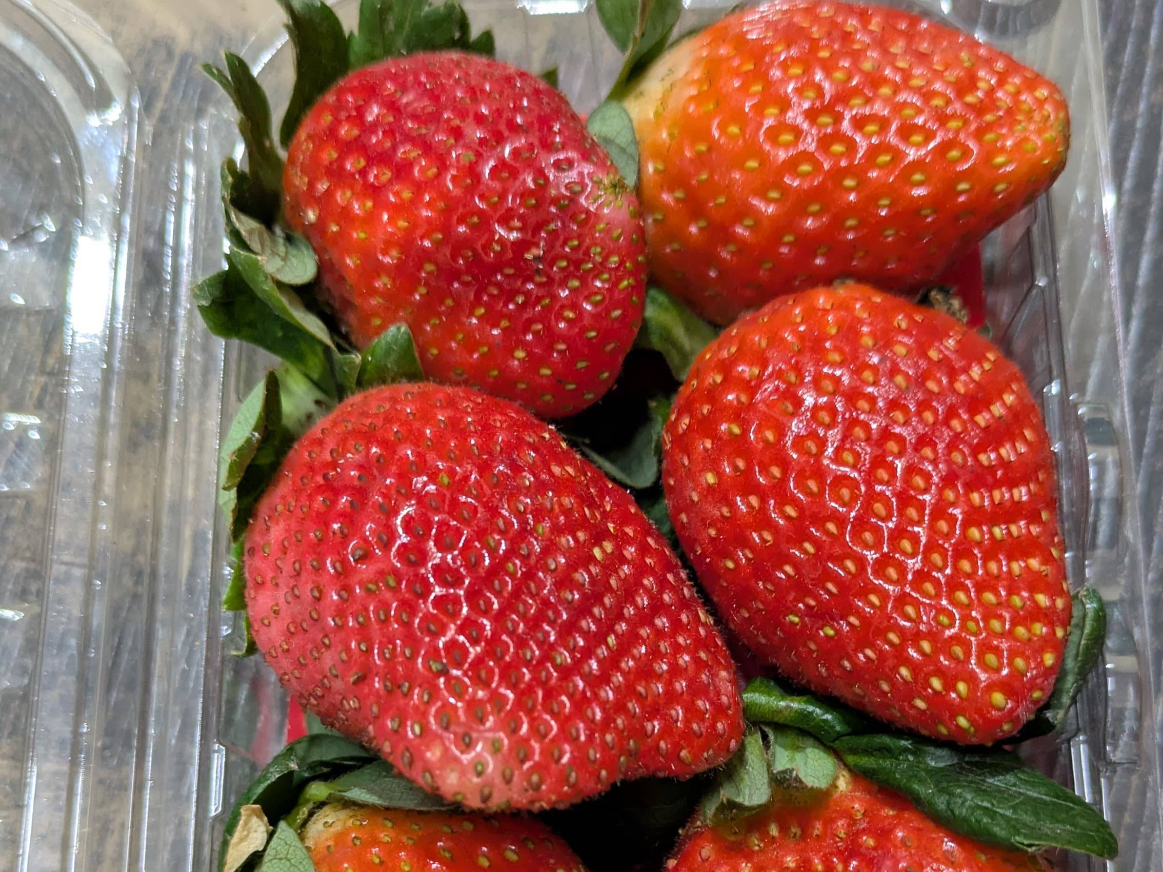 R1 Mecillo for sale in Satara, Maharashtra