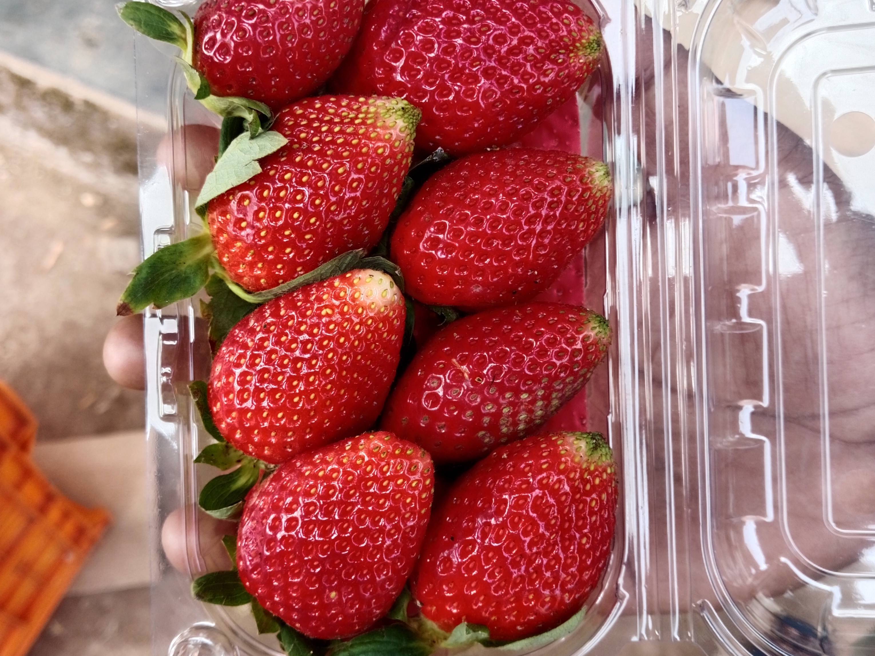 R1 Mecilino for sale in Satara, Maharashtra